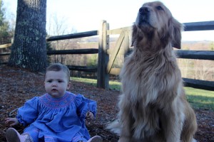 Bailey standing guard over young Harper