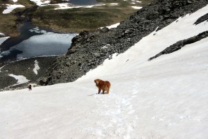 Rainie & Kona heading back down the upper portion of the snow gully to Mohawk Lakes Basin