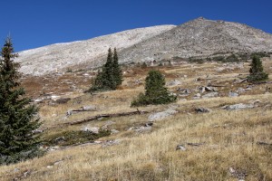 Very dry south-facing meadows on Whitney Peak's south ridge