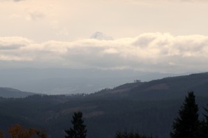 Mt. Hood (Oregon's highest peak) looming above all else as seen from the wedding site