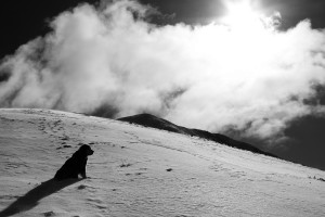 Rainie on the northwest ridge