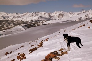 Molly on Point 12,340' with the Gore Range ebhind