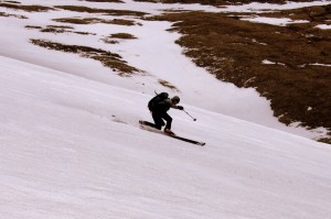 I just love spring corn and the tele turn