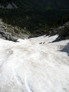 The dogs halfway down the Silver Couloir that hot July day back in 2008