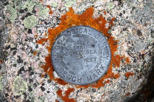 Grouse USGS summit marker
