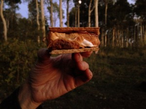 Now, that's a s'more!