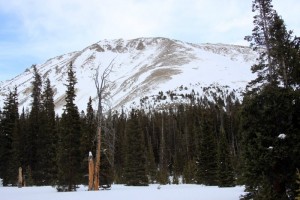 Looking back at Columbia's west rib from Horn Fork Basin