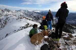 All of us enjoying this Gore summit - maybe except for Kona giving me the "I'm cold and let's get out of here" look :)