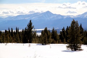 Mt. Elbert from the Cookhouse