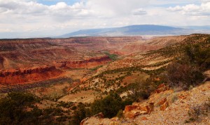 Another view of Escalante Canyon from the other side of the rim. Photo by Dillon on Saturday's dayhike with J, Joel, & Lauran