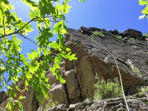 J climbing Poison Ivy (5.9)