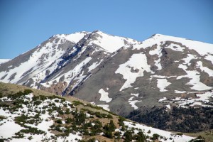 Mt. Massive (14,421'), Colorado's 2nd highest, to the north